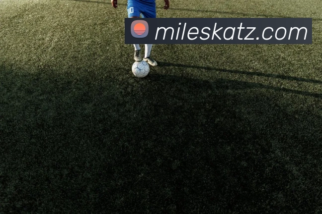 米乐m6平台生态图